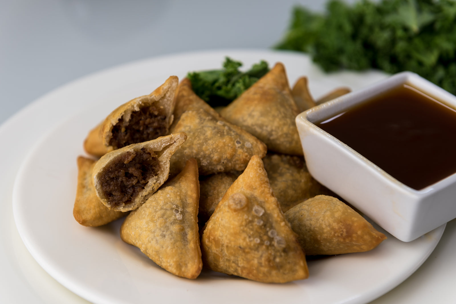 Sweet Pulled Beef Wontons (Mini).